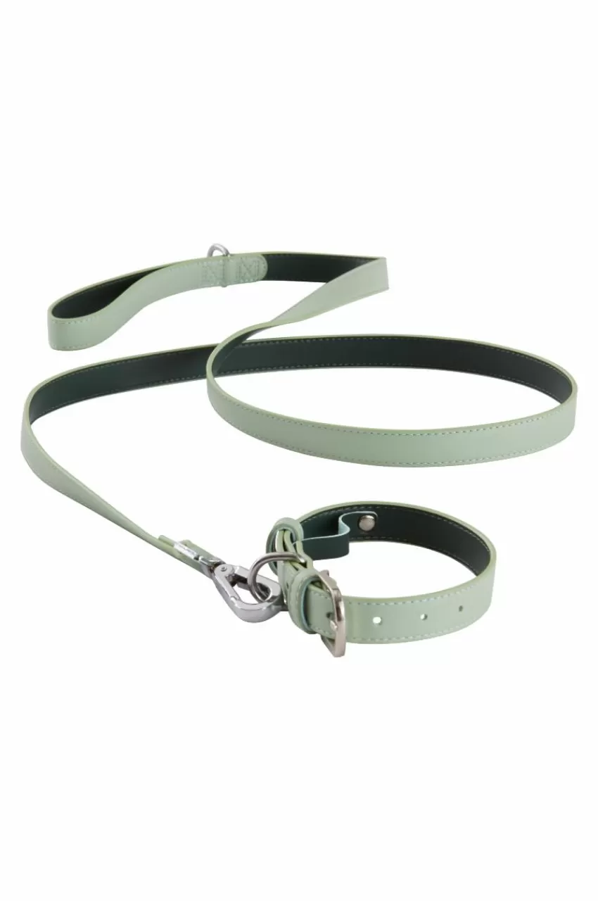 Djurtillbehör*Jotex INU Hundhalsband/katthalsband Grön/mint